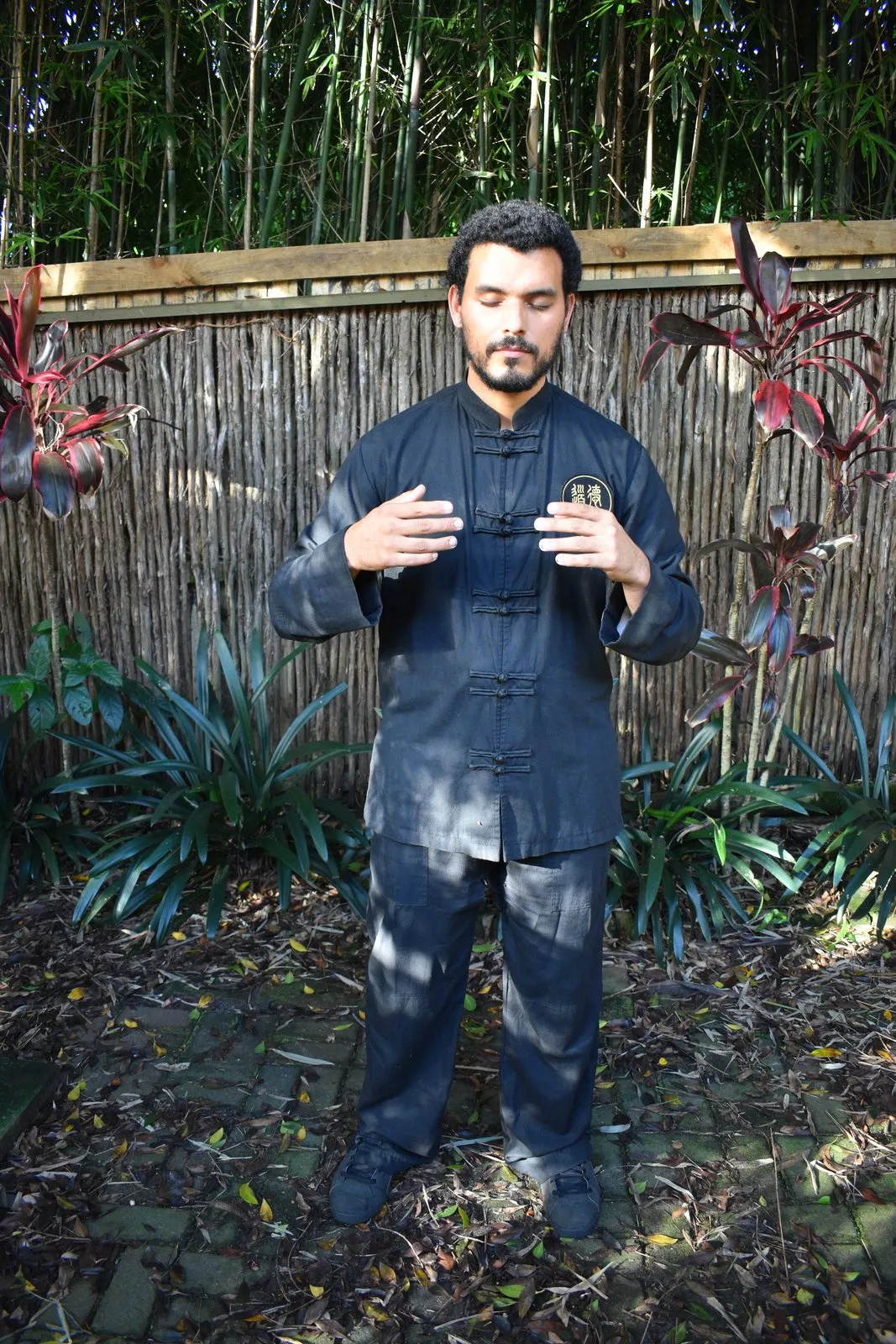 Zhan Zhuang Qigong